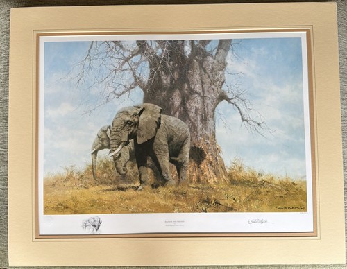 David shepherd signed limited - david,