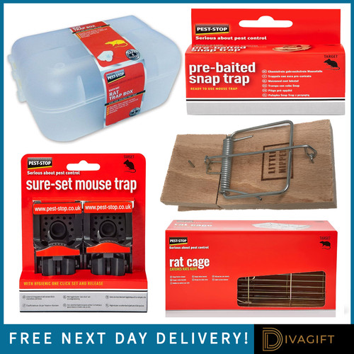 Rat mouse trap little - rat,