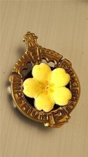 Vintage Political "Primrose