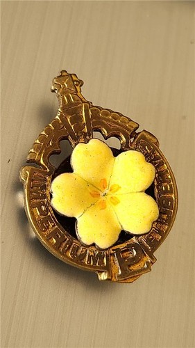 Vintage political primrose - vintage,