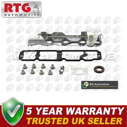 Cylinder head gasket - cylinder,