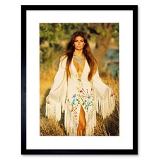 Movie Photo Actress Raquel Welch Framed Art Print Picture Mount 12x16 Inch