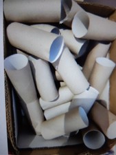 100 x Empty Toilet Roll