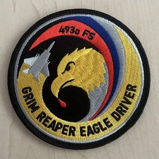 USAF 493rd Patch