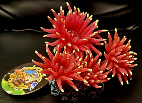 Underwater treasures sun - underwater,