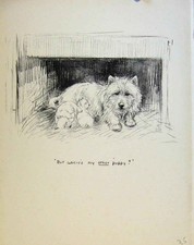 Original Old Antique Print