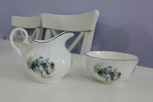 Miniature schnauzer small - small, jug