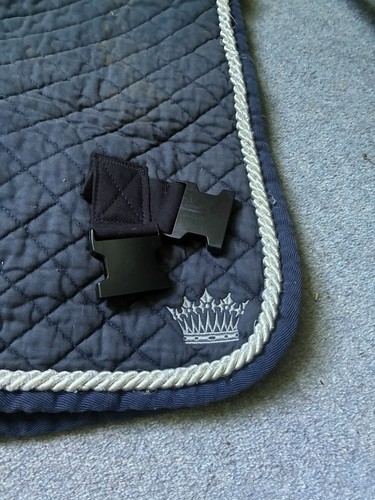 Equine core and balance band - core,