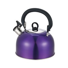 Stainless Steel Whistling