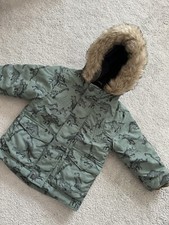 Sage Green Dinosaur Shower