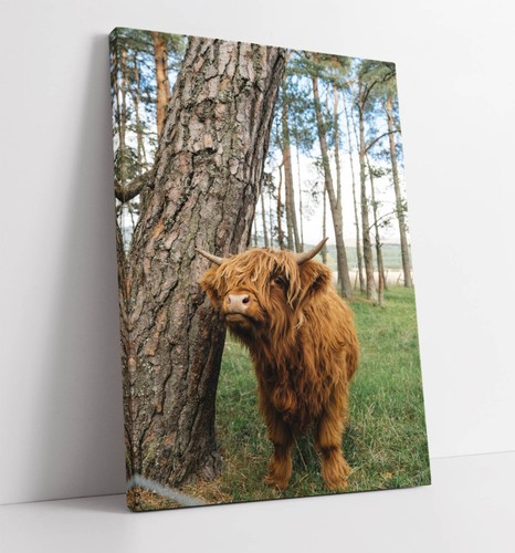 Cute highland cow tree home - cow,