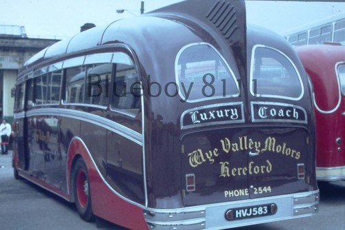 35mm slide leyland cheetah - 35mm,