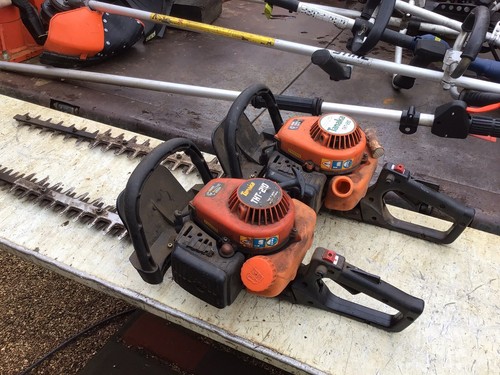 Tanaka tht 210 hedge - tht,