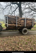 forestry timber trailer