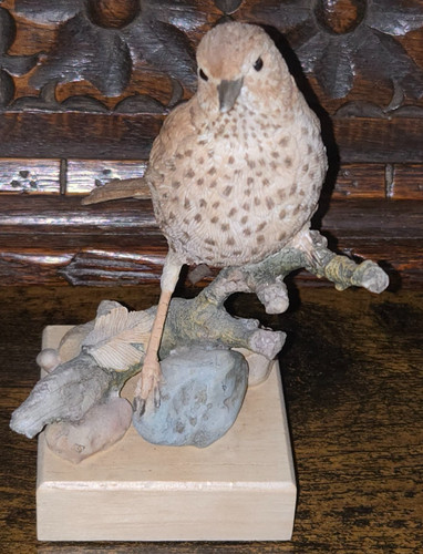 Country artists song thrush - artists,