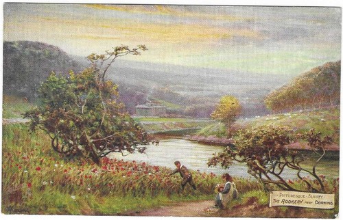 Dorking c1905 art the - art,,
