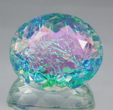 AAA+ Large Natural Monarch