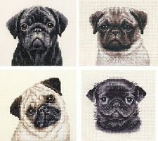 BLACK + FAWN PUG dog pup -