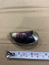 Vintage/Antique Mussel Shell Snuff Box