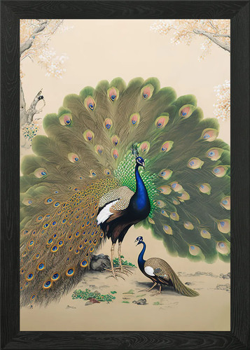 Peacock animal framed - peacock,
