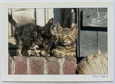 Cute Cat Postcard | Two