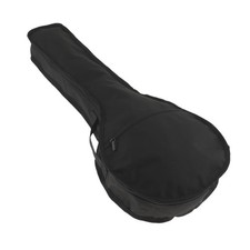 Mandolin case, padded mandolin