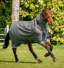 Horseware Amigo Bravo 12 Plus Medium 250g 6'0" Horse Turnout Rug