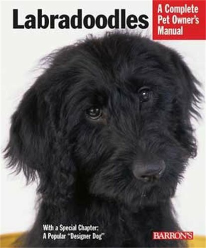 Labradoodles barron s - labradoodles, (barron's