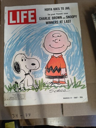 Life magazine march - life, 1967