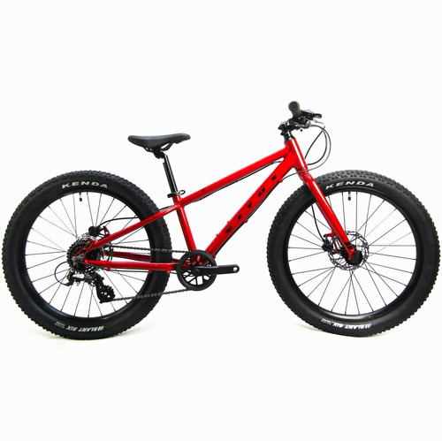 Vitus kids mountain bike - kids,