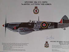 Squadron print spitfire - squadron,