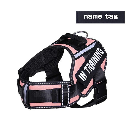 Personalized dog harness - harness, no