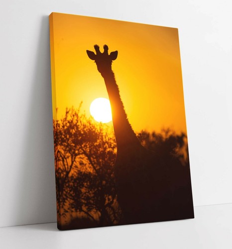 Giraffe large canvas wall - canvas,