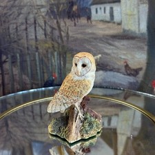 1997 Border Fine Arts 'Night Watch' Barn Owl Figurine B0175 by Ray Ayres | Boxed