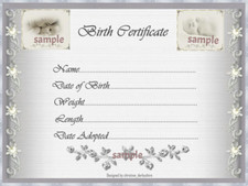 PEARL & DIAMOND BIRTH CERTIFICATE/CERTIFICATES 4 REBORN FAKE BABY approx 7"x 5"