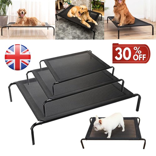 Premium elevated dog - elevated,