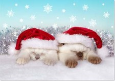 Doodlecards Christmas Card