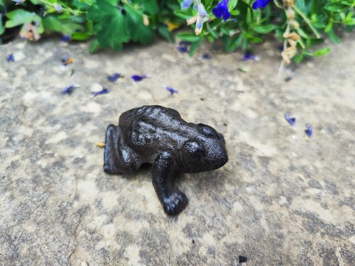 Cast iron frog garden ornament - iron,