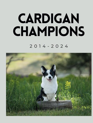 Cardigan welsh corgi - cardigan,