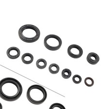Complete Engine Oil Seal Kit