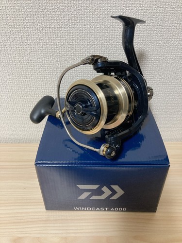 Daiwa surf casting reel - casting,
