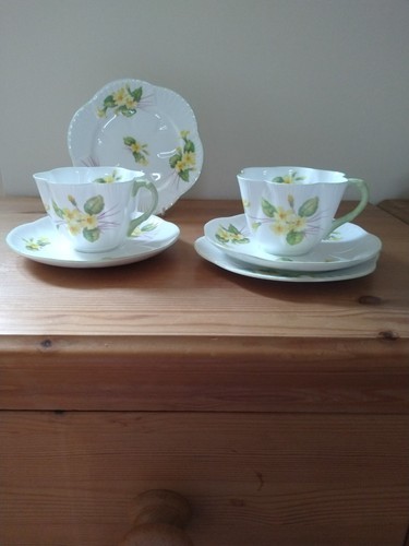 Shelley dainty shaped primrose - dainty,
