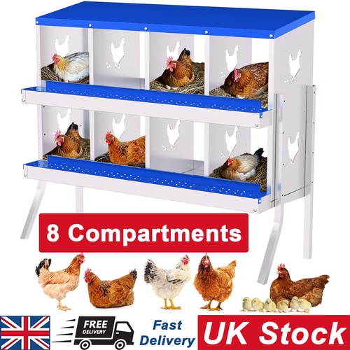 Compartments chicken nest - chicken,