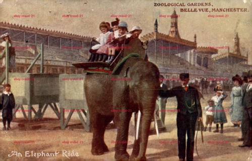 Belle vue manchester - vue,