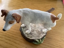 Border fine arts Jack Russell