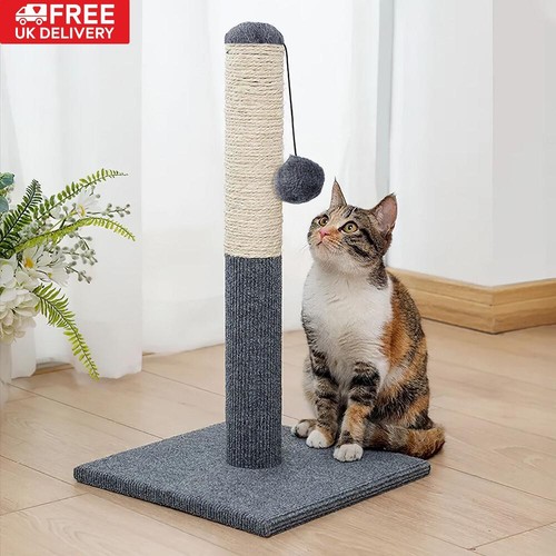 Tall large cat - large, post