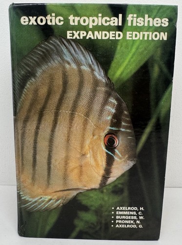 Exotic tropical fishes - exotic,