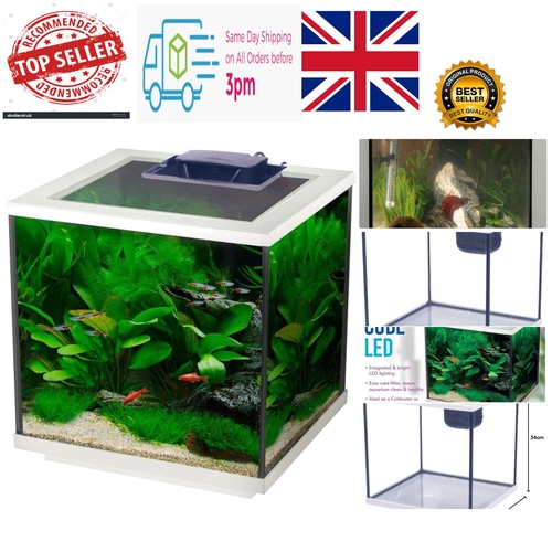 Modern 28l clear glass - modern,