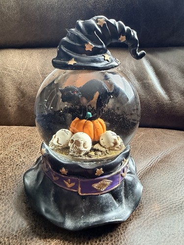Maxx halloween cat on - maxx,
