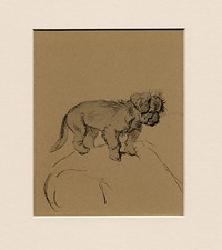 TIBETAN SPANIEL PUP LOVELY 1930'S CECIL ALDIN DOG ART PRINT READY MOUNTED